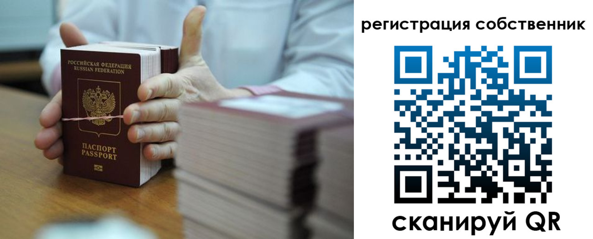 временная регистрация гарантия в Лесном